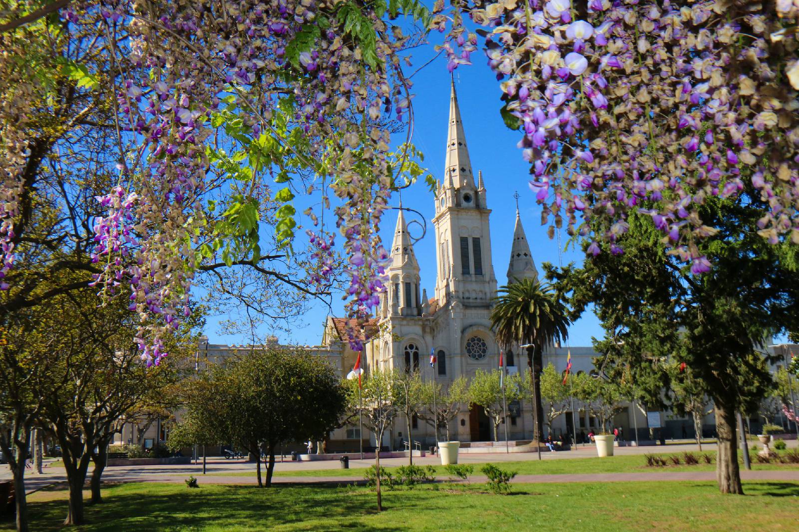 SAN CARLOS DE BOLÍVAR