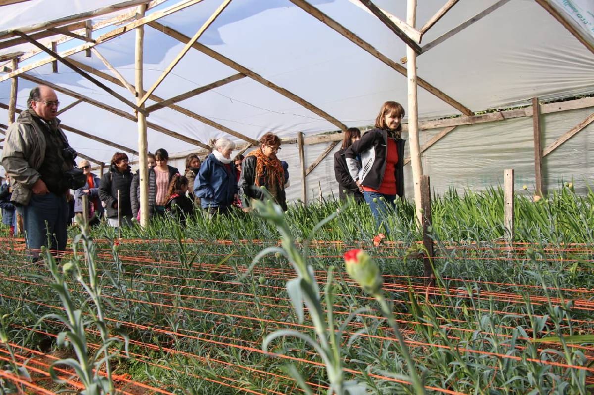 EL TOUR BOLÍVAR PRODUCTIVA VISITÓ CULTIVOS DON KITO