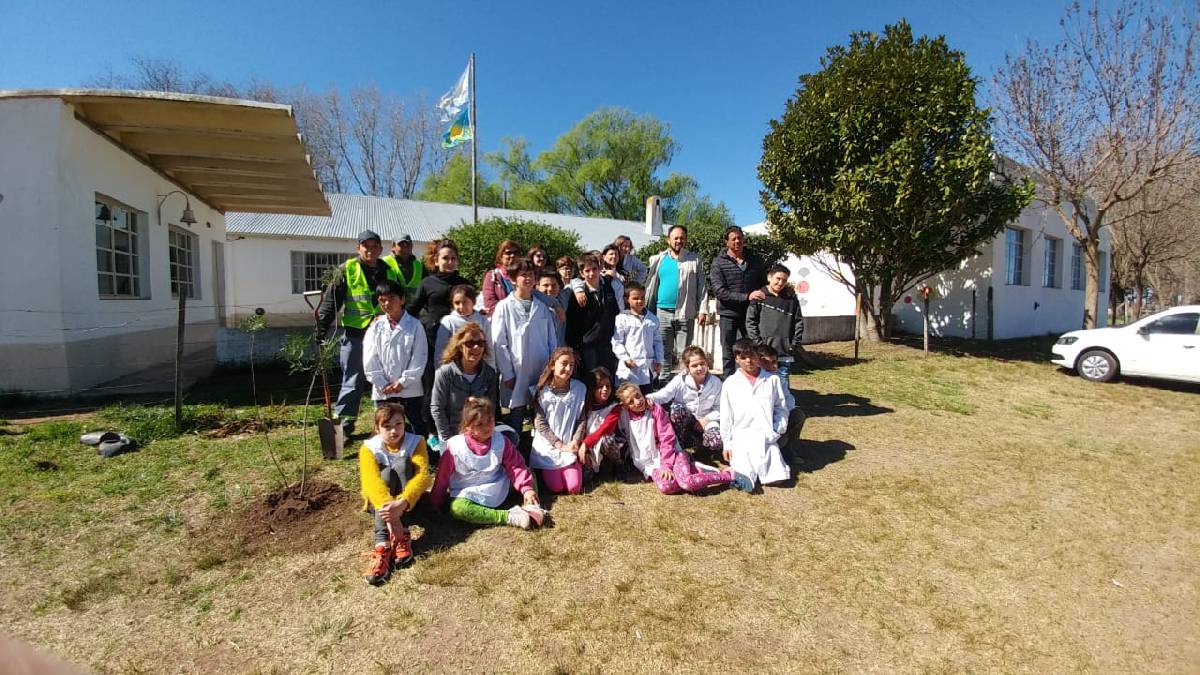 LA MUNICIPALIDAD REALIZÓ UNA FORESTACIÓN JUNTO A LA ESCUELA N°11