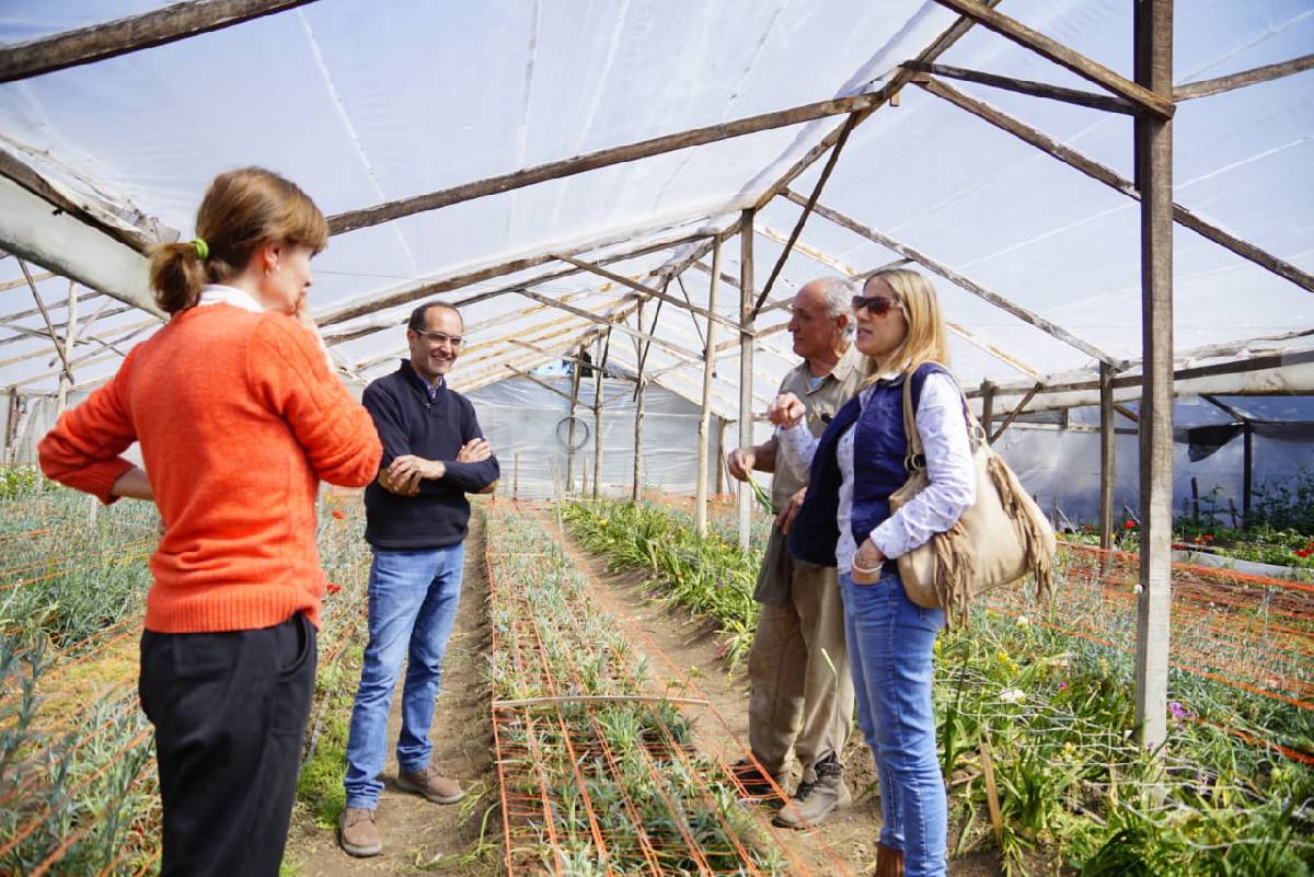 EL INTENDENTE PISANO VISITÓ CULTIVOS DON KITO