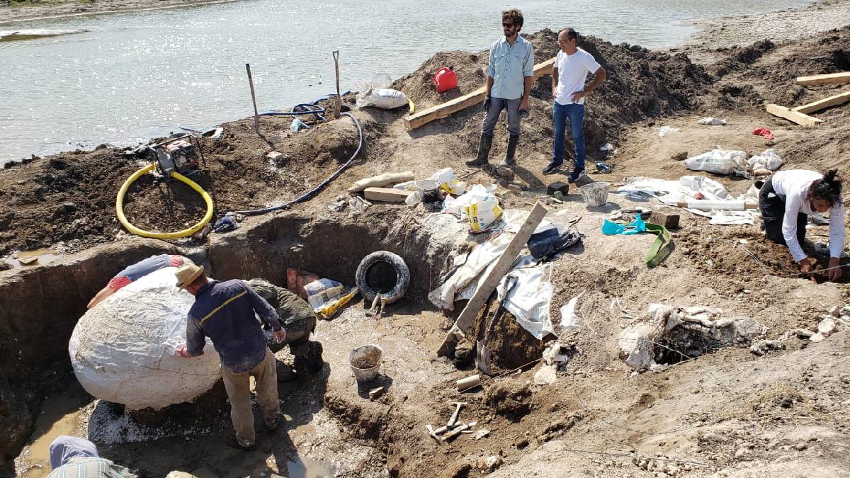 EL INTENDENTE PISANO ACOMPAÑO LA EXTRACCIÓN DE LOS GLYPTODONTES