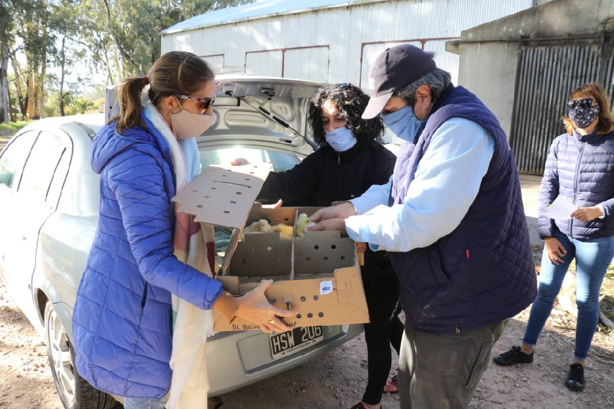 PRODUCCIÓN ENTREGÓ AVES A TRAVÉS DEL PROGRAMA PRO HUERTA