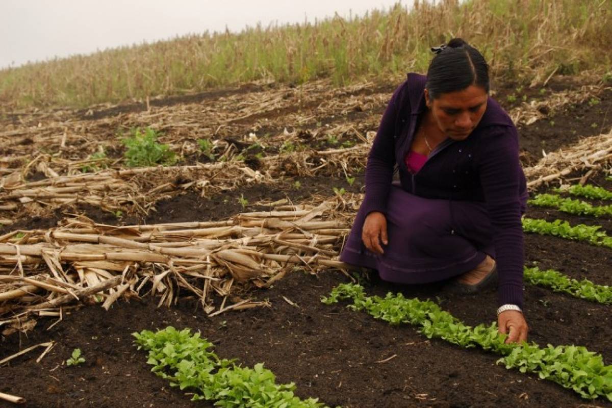 DERECHOS HUMANOS CONVOCA A ENVIAR FOTOS DE MUJERES RURALES