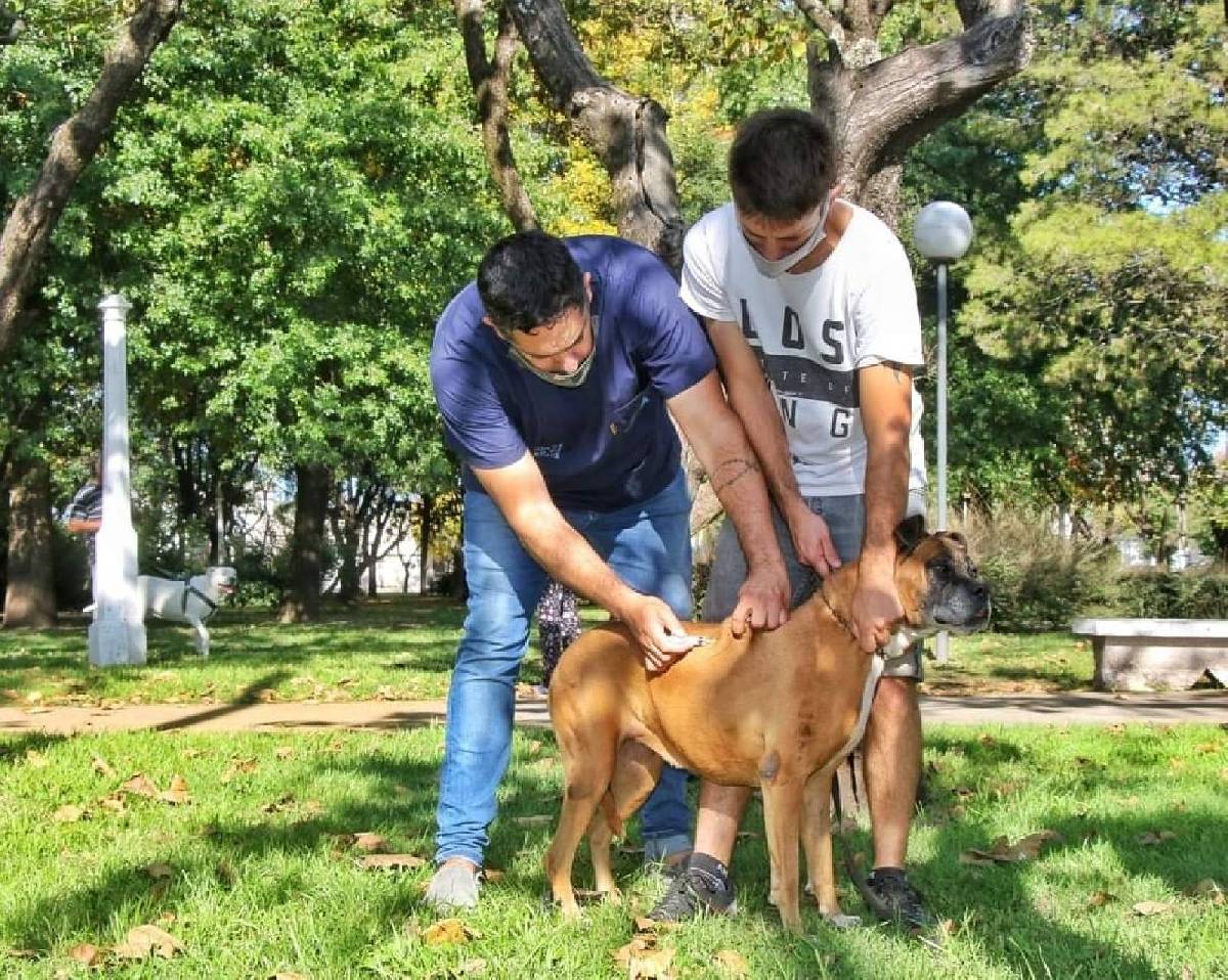 ZOONOSIS LLEVA ADELANTE UNA IMPORTANTE CAMPAÑA DE TENENCIA RESPONSABLE