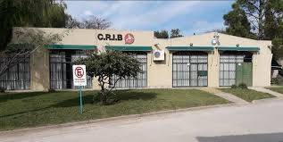 EL CRIB INICIA UN PROGRAMA DE REHABILITACIÓN POST COVID