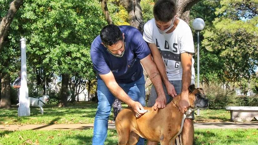 VACUNACIÓN ANTIRRÁBICA GRATUITA EN EL PLAYÓN DE LA ESTACIÓN DE TREN