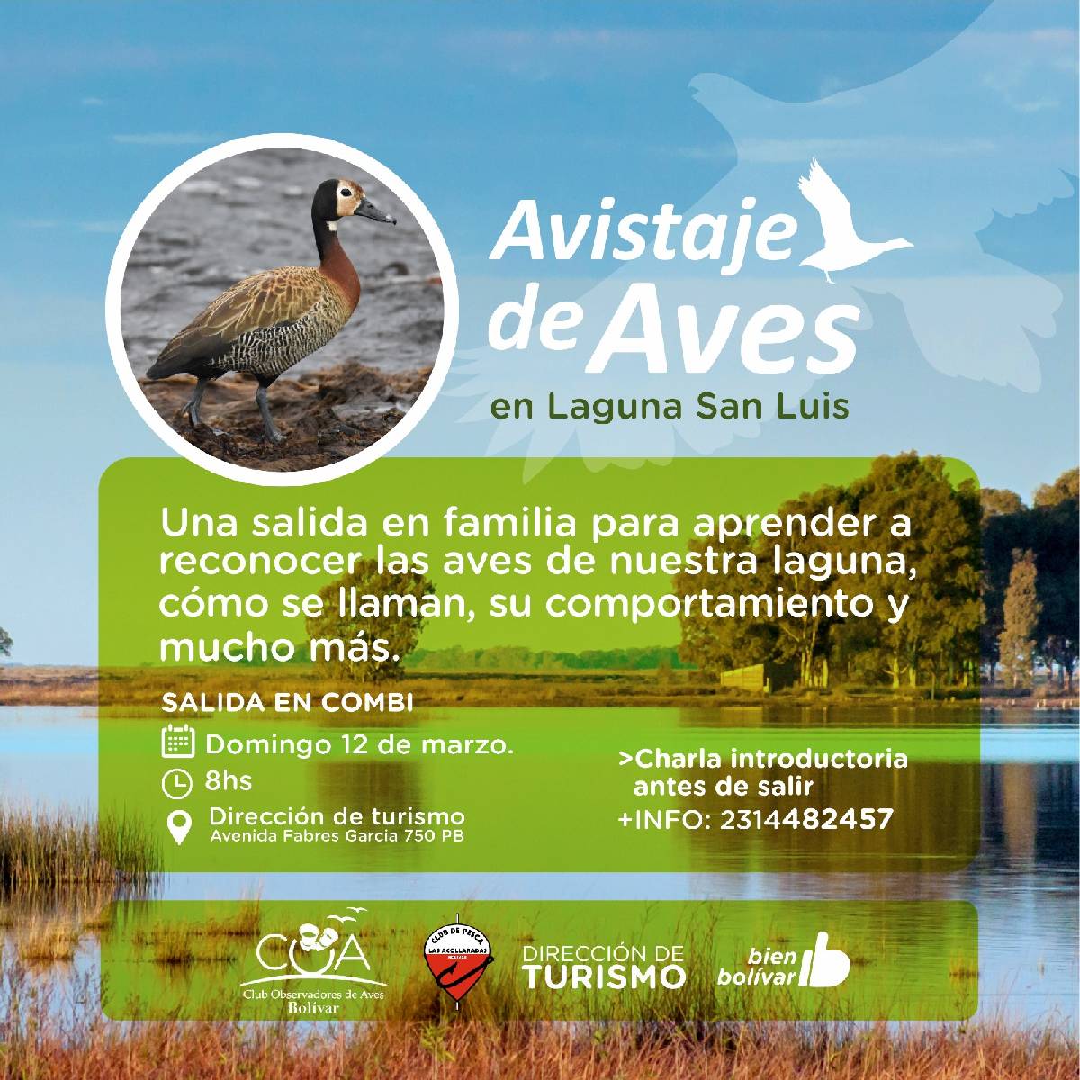 Avistaje de Aves