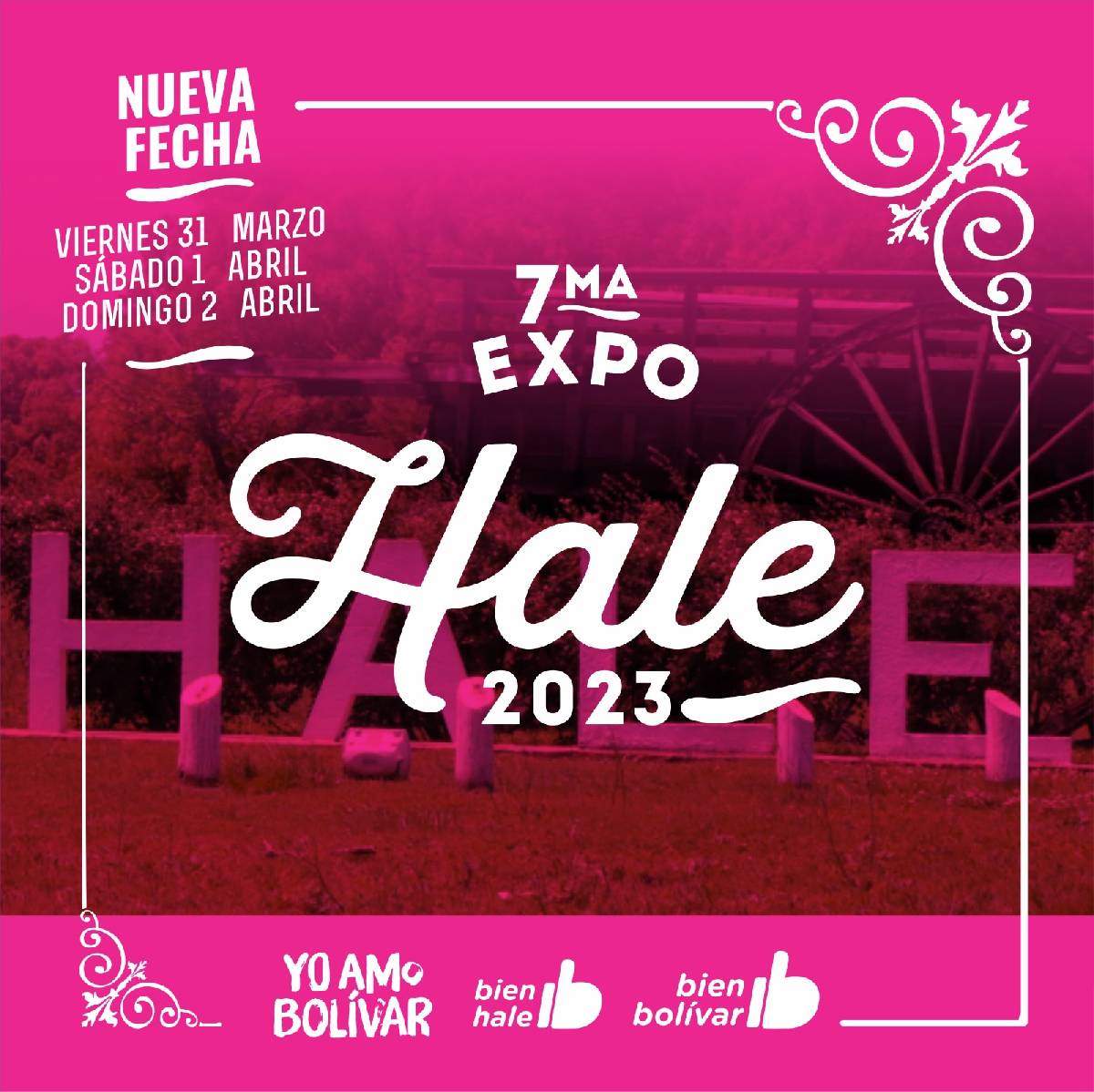 EXPO HALE