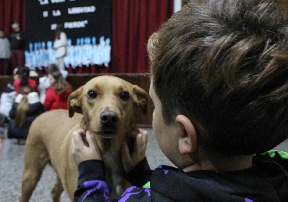 ZOONOSIS BRINDÓ CHARLAS SOBRE TENENCIA RESPONSABLE