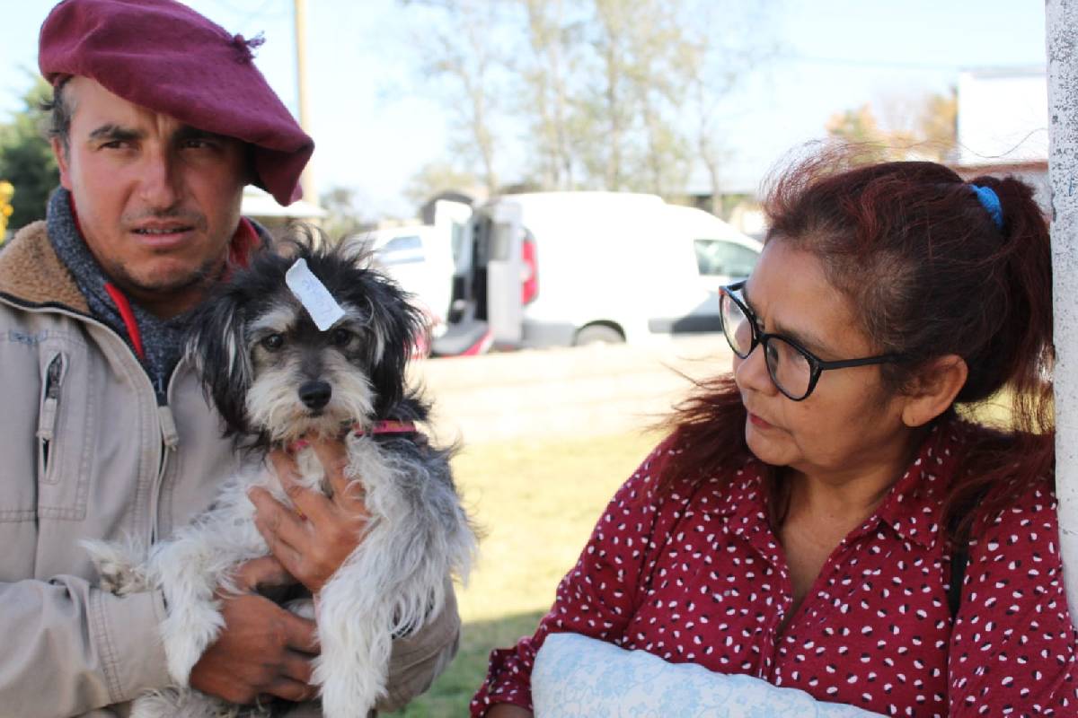 CASTRACIONES MASIVAS EN PIROVANO Y URDAMPILLETA: MÁS DE 40 ANIMALES FUERON ESTERILIZADOS