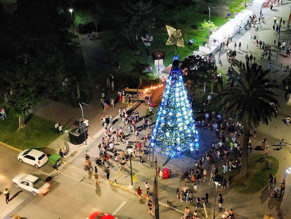 ESTE VIERNES LA DIRECCIÓN DE CULTURA COMIENZA A EMPLAZAR EL ÁRBOL GIGANTE DE NAVIDAD