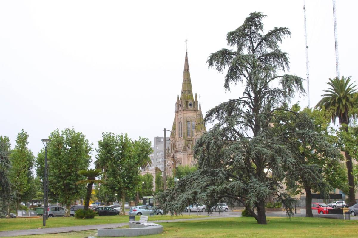 CITY TOUR BOTÁNICO: LA NUEVA PROPUESTA DEL MUNICIPIO