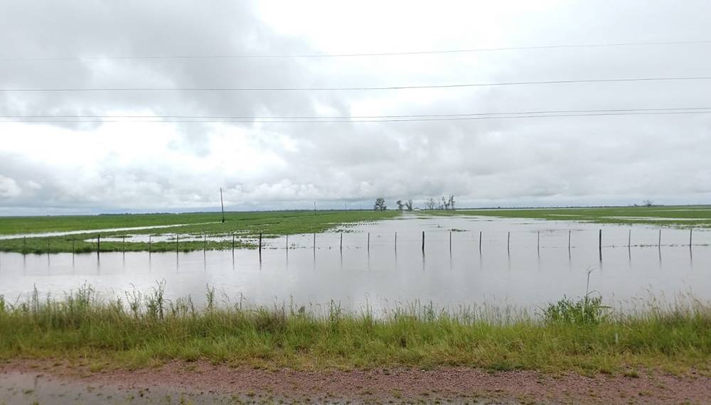 FUE DECLARADA LA EMERGENCIA AGROPECURIA PARA EL PARTIDO DE BOLÍVAR