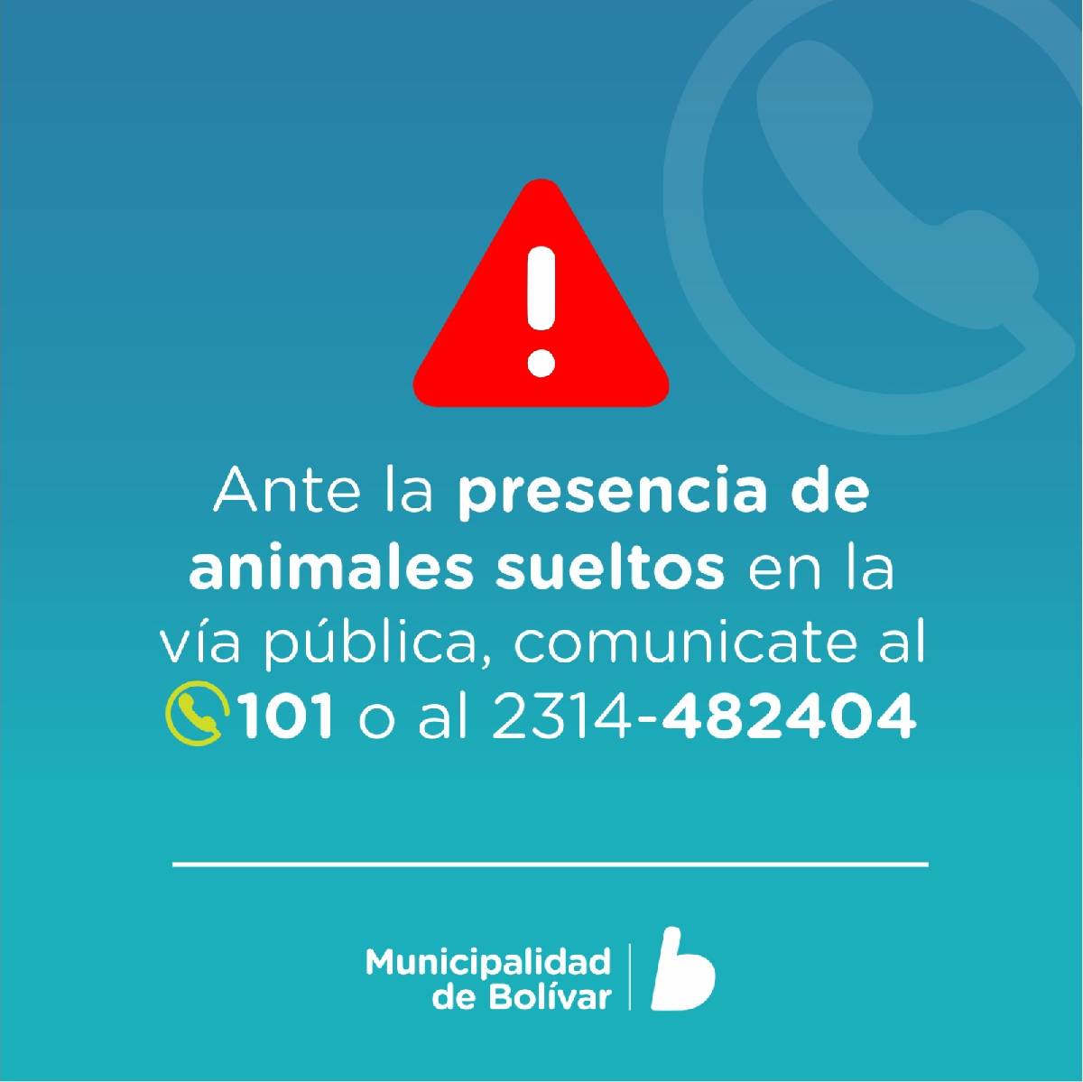 SE SECUESTRARON 65 VACUNOS DE MANERA PREVENTIVA