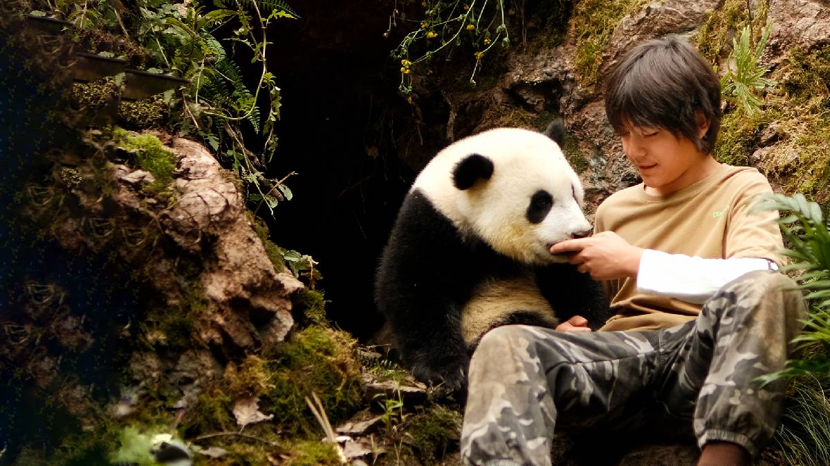 MOON, MI AMIGO EL PANDA