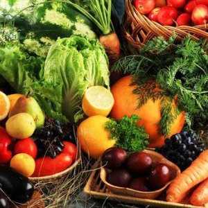 Curso de Elaboración de Frutas y Hortalizas