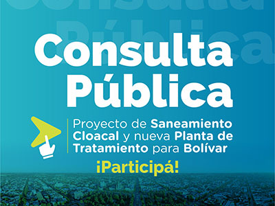 Consulta Pública