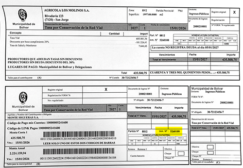 Padrón en la boleta de Vial